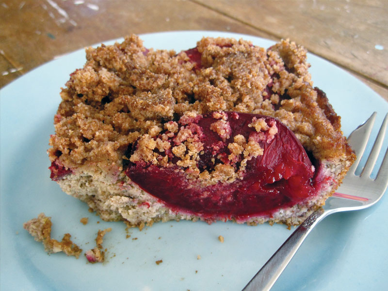 Vegan Gluten free Plum Crumble Cake Slice 2