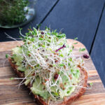 Sprossen Selber Ankeimen DIY Anleitung 1