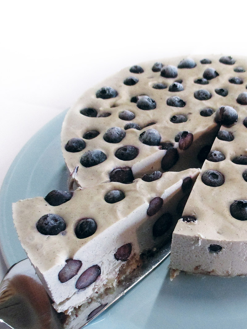 Vegan Gluten free Blueberry Vanilla Cake