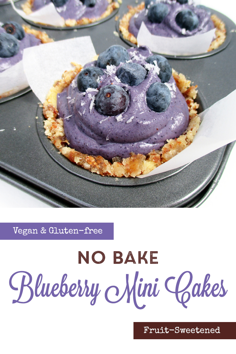 Vegan Gluten free Fruit Sweetened No Bake Blueberry Mini Cakes Recipe P2