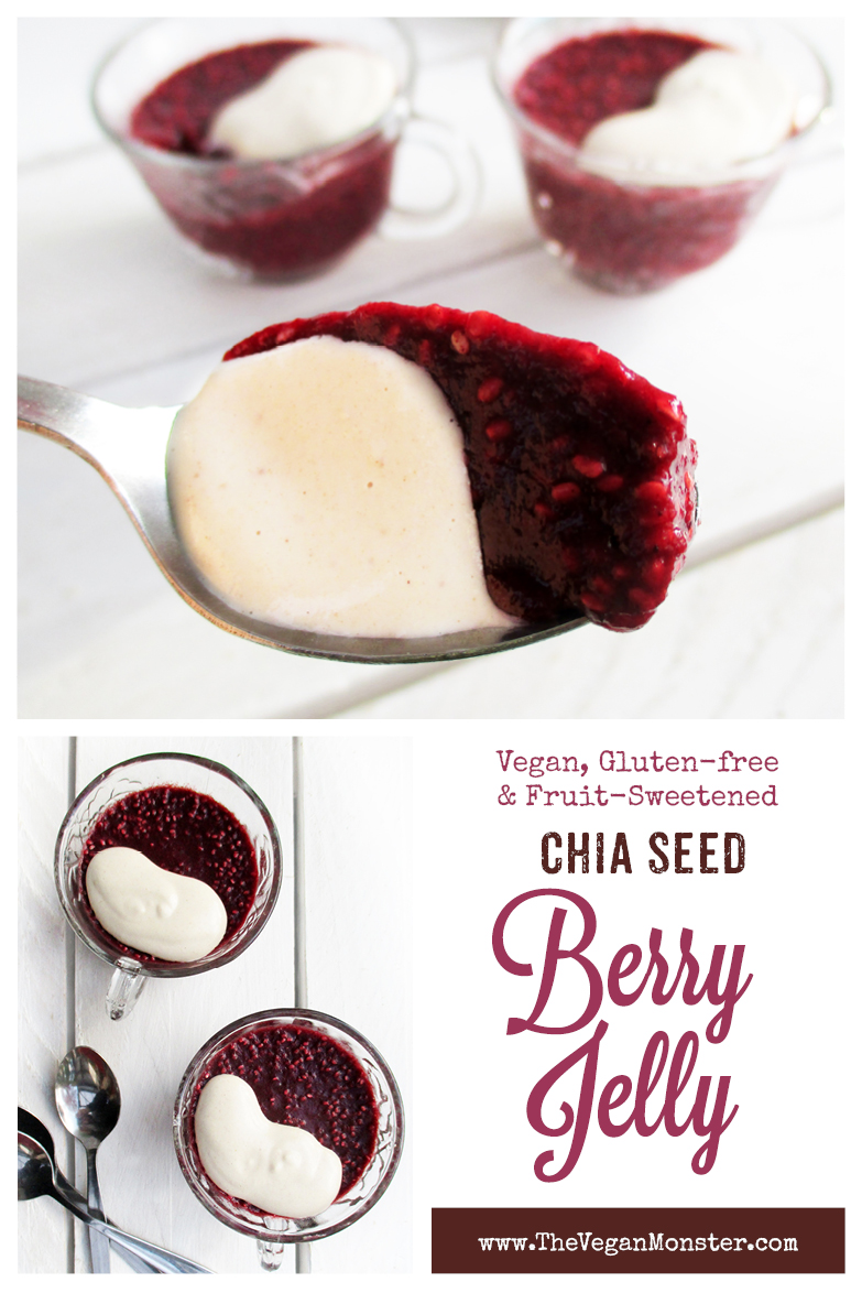 Raw Berry Chia Jelly Pudding Fruit Sweetened Recipe P1