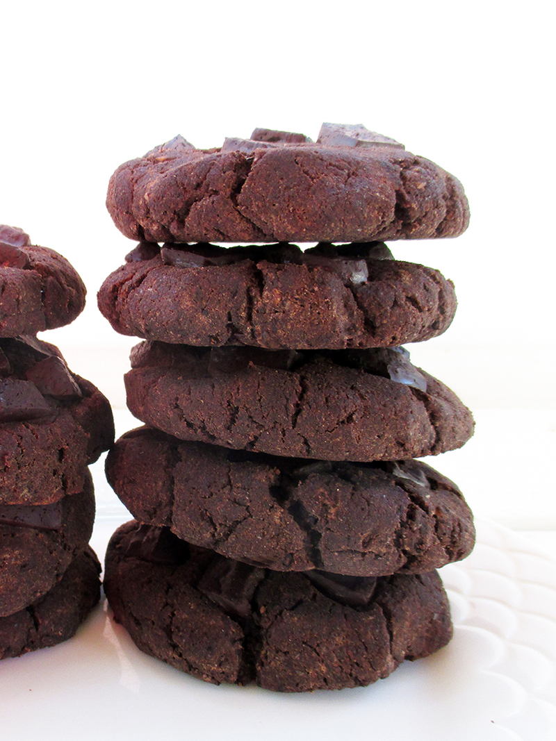 Vegan and guten-free Nut-Pulp Chocolate Cookies 