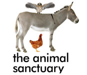 The Animal Sanctuary NZ