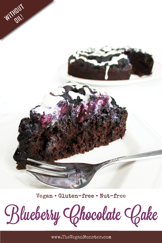 Vegan Dairy free Egg free Gluten free Chocolate Blueberry Cake Recipe P
