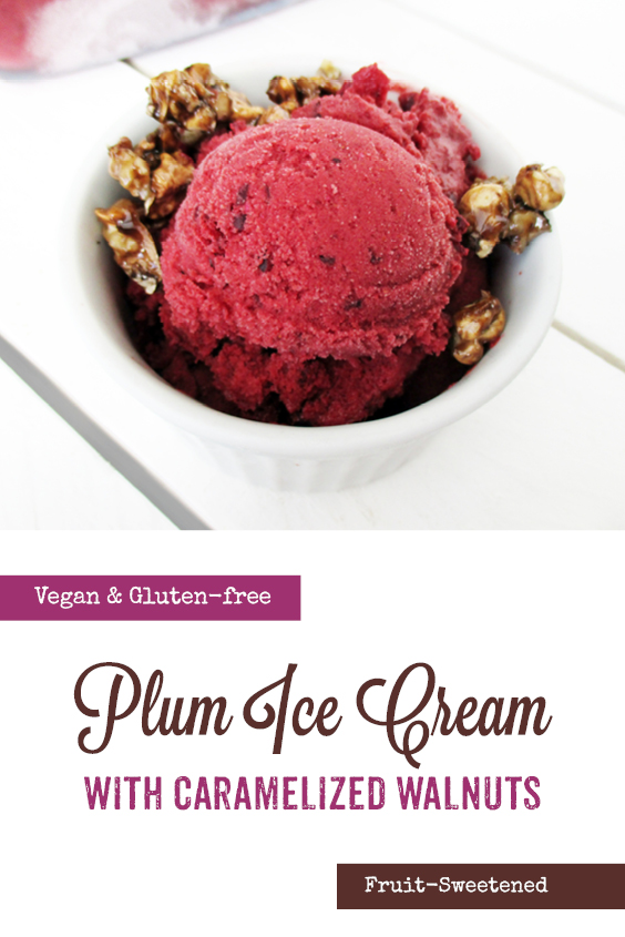 Vegan Gluten free Dairy free Fruit Sweetened Plum Fig Ice Cream Recipe P2