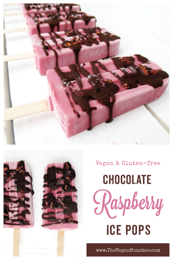 Vegan Gluten free Dairy free Soy free Raspberry Chocolate Ice Pops Recipe P