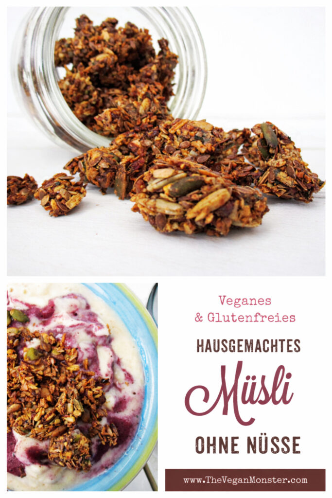 Hausgemachtes Knusper Müsli (Vegan, Glutenfrei, Ohne Nüsse, Ohne Kristallzucker) 6 Veganer, glutenfreier Knusper-Müsli-Mix aus Sonnenblumenkernen, Kürbiskernen, Leinsamen und Kokosraspeln
