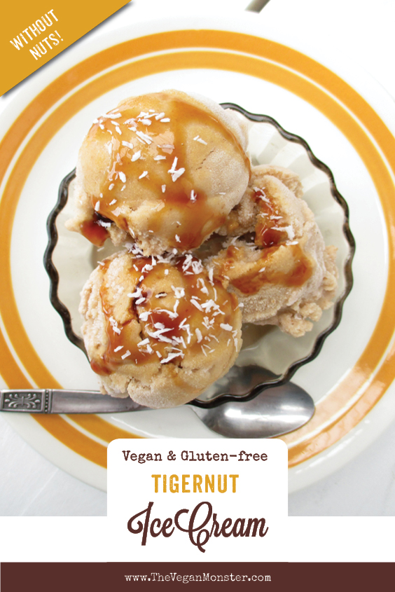 Vegan Gluten free Dairy free Nut free Tigernut Ice Cream Without Refined Sugar Recipe P2