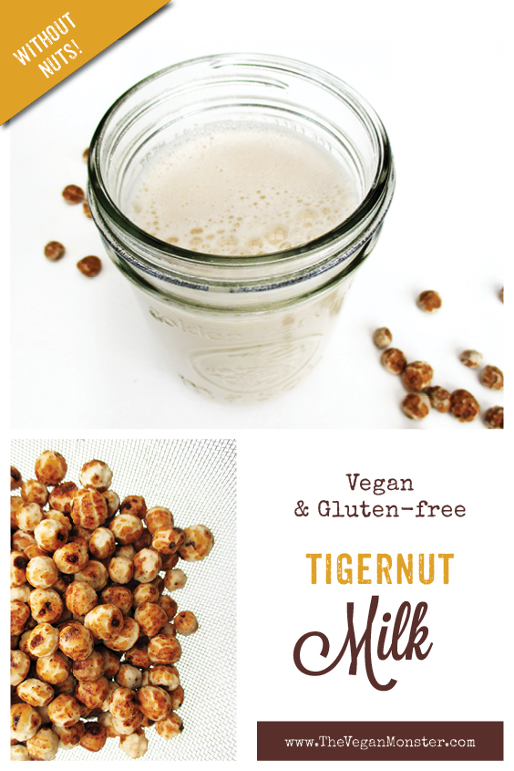 Vegan Gluten free Dairy free Nut free Tigernut Milk Recipe P