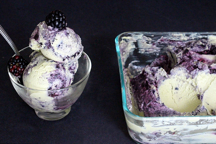 Raw Vegan Blueberry Vanilla Ice Cream by Amanda Nicole Smith