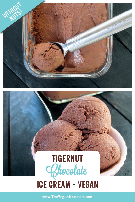Vegan Gluten-free Dairy-free Refined Sugar Free Tigernut Chocolate Ice-Cream Recipe