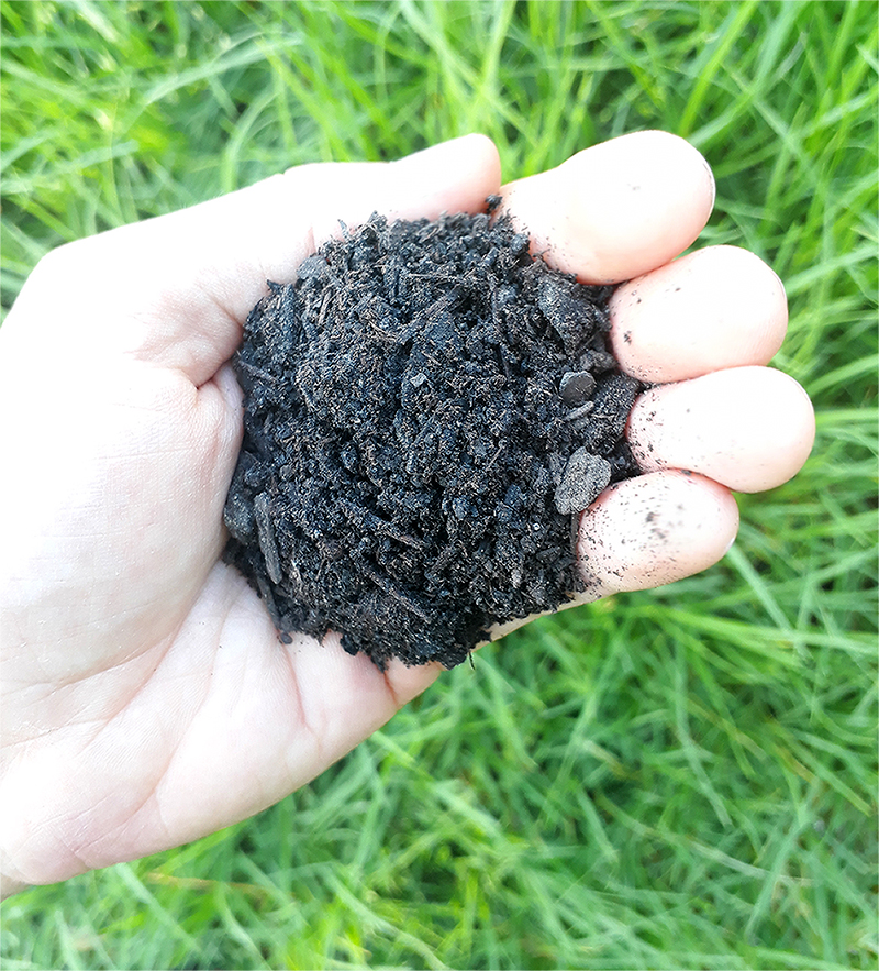 Essen Gemuese Selbst Anbauen Nachhaltige Bio Alternativen Optionen Fuer Saatgut Ansiehen Industrieller Kompost